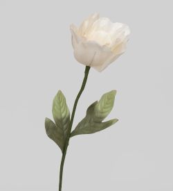 TR 407 Анемона