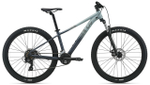 Женский велосипед Giant Tempt 29 4 (2021)
