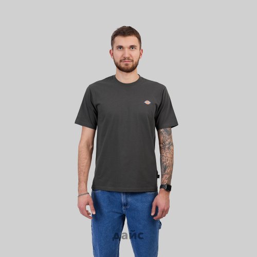 Футболка мужская Dickies Mapleton артикул:DK0A4XDBOGX1 - купить в магазине Дайс