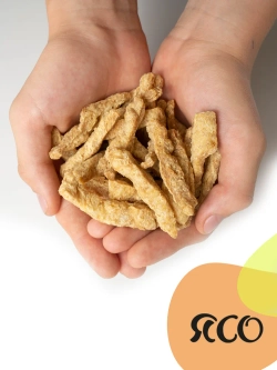 Соевое мясо Бефстроганов