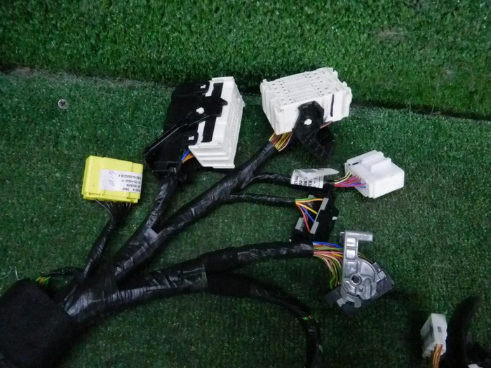 DSCN1785.JPG