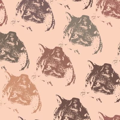Кошка Мурка