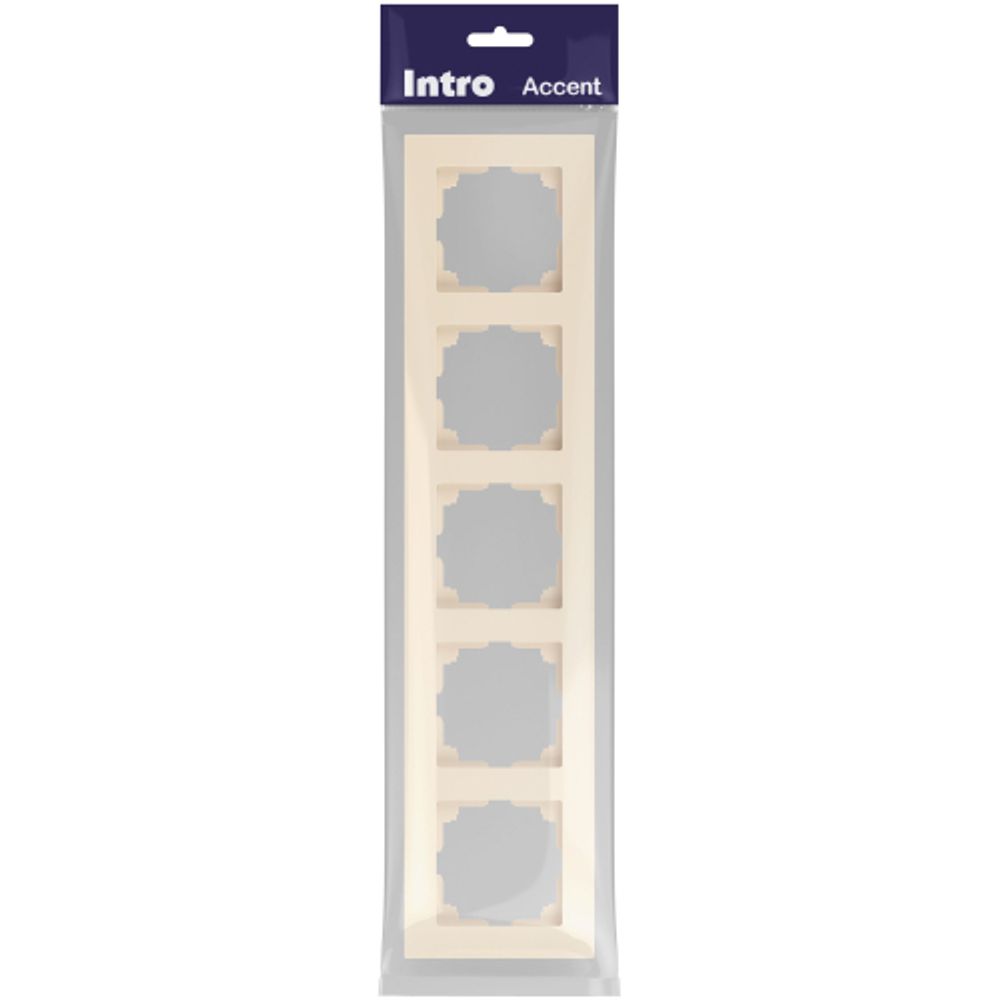 Рамка для розеток и выключателей Intro Accent 6-505-02 на 5 постов, СУ, сл.кость | Intro