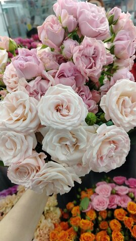 Кустовые розы микс 7 веток