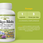 Natural Factors, HerbalFactors®, гинкго билоба, 60 капсул