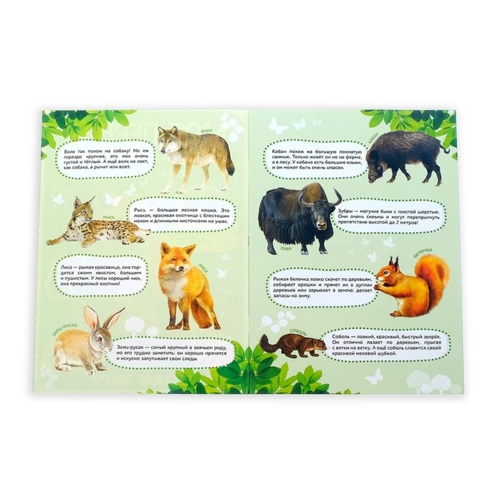 Наклейки "Моя первая энциклопедия. Лесные звери", формат А4, 8 стр. + плакат