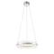 Подвесной светодиодный светильник ST Luce Cherio SL383.103.01