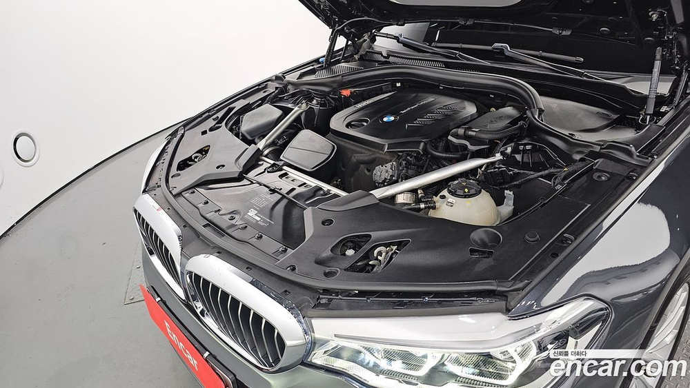 BMW 5 Series (G30) 520d Luxury Plus (10.2019)