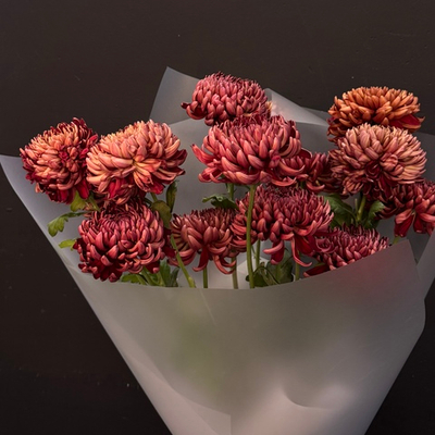 Монобукет из 13 хризантем бигуди