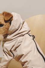 Комбинезон "Пони-комбинезони" бежевый