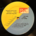 Anthony Phillips - Private Parts And Pieces V - Twelve (США 1985г.)