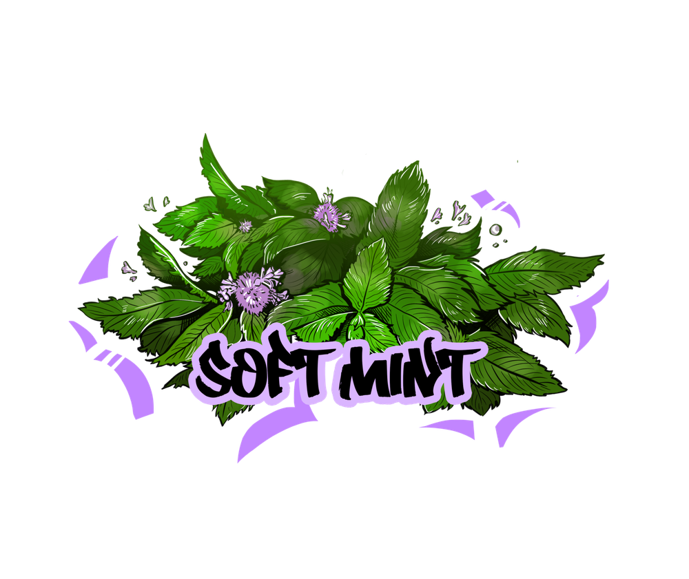 B3 - Soft Mint (250g)