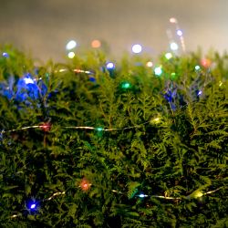 USL-S-128-PT9900 DEW Садовая гирлянда на солнечной батарее Роса. 100 светодиодов. Разноцветный свет. 1xАА Ni-Mh аккумулятор в-к. IP44. TM Uniel.