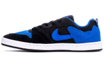 Кроссовки Nike Sb Alleyoop Royal