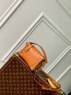Louis Vuitton Side Trunk PM