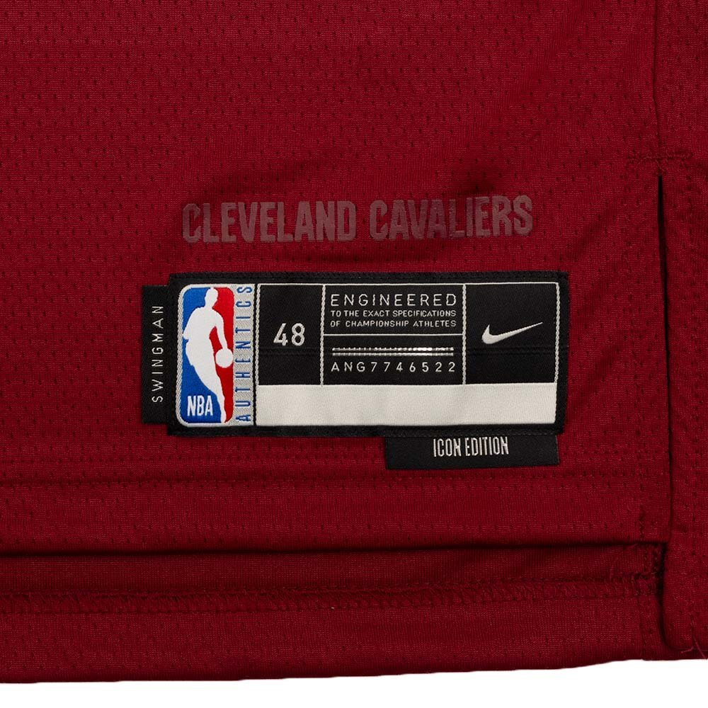 Баскетбольная футболка Nike Dri-FIT NBA Swingman Cleveland Cavaliers Icon Edition T-shirt 2022/23 Burgundy