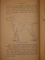 "Лягавая собака. Руководство по уходу за лягавой собакой". Фридрих Освальд. 1901г.