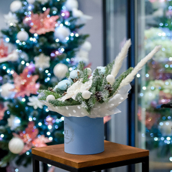 Нобилис в шляпной коробке в голубом оформлении