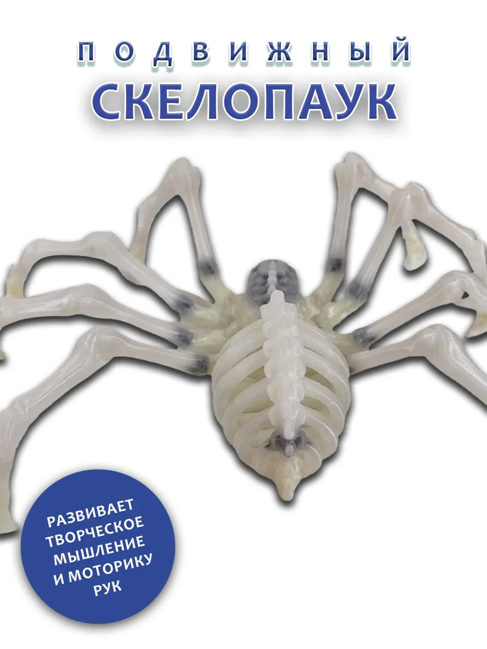 Скелет Паук