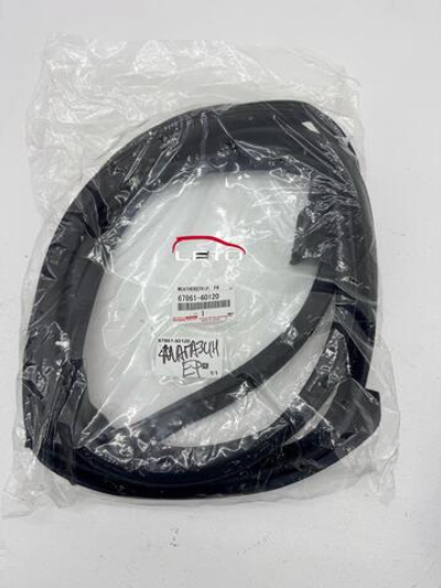 Уплотнитель двери (FR, RH)