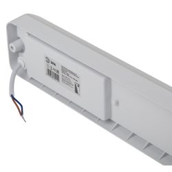 Светильник ЖКХ светодиодный ЭРА SPB-103-2-40K-020 20Вт 4000K IP65 350х75 оптико-акустический датчик движения | Светильники для ЖКХ IP65