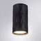 Потолочный светильник Arte Lamp Fang A5557PL-1BK