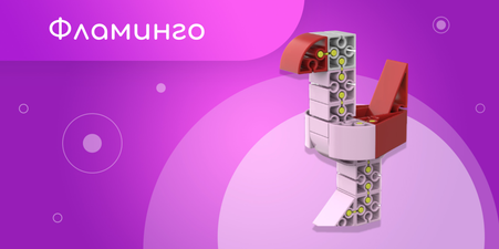 Фламинго