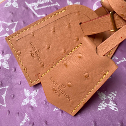 Louis Vuitton Speedy P9 Bandouliere 40