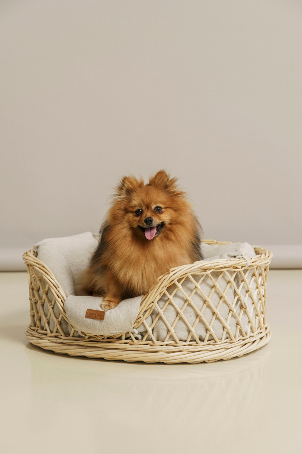 Лежанка из лозы "Пони-Набалкони"