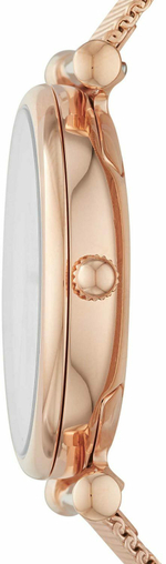 Наручные часы Fossil ES4918