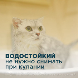 Ошейник от блох и клещей Форесто для кошек