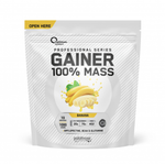 100% Mass Gainer