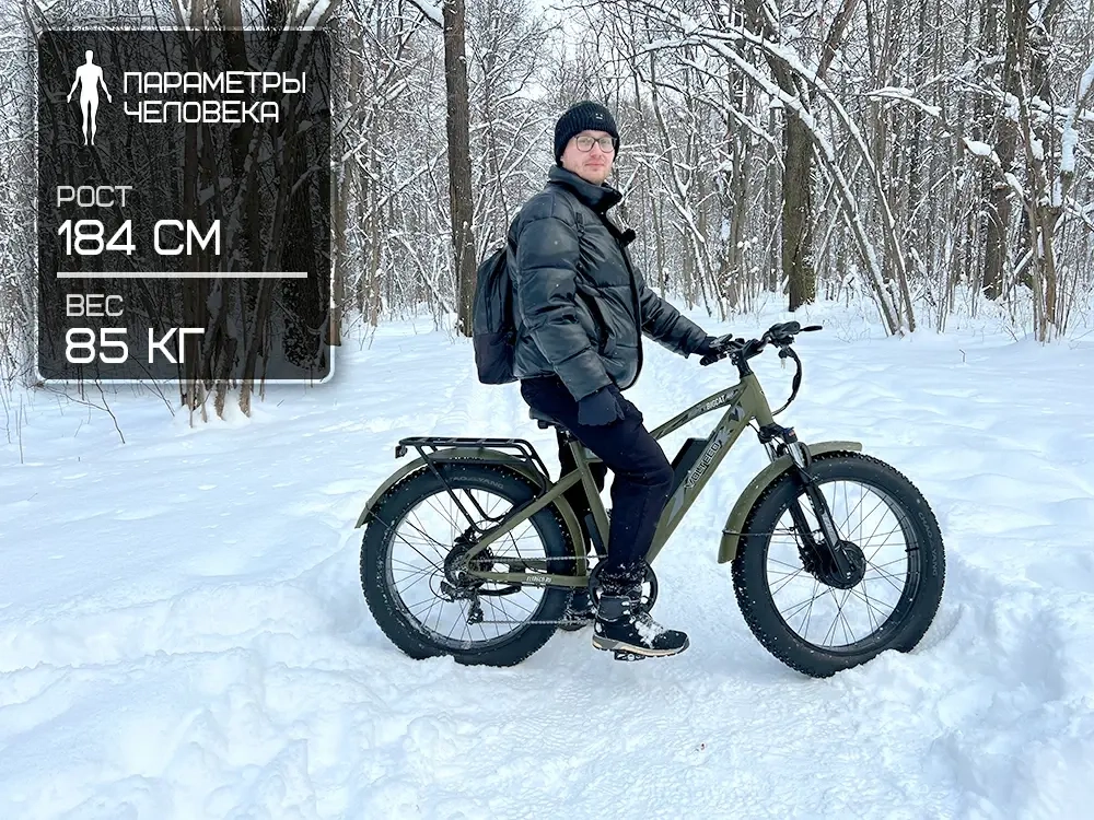 Электрофэтбайк VOLTECO BigCat Dual Next (черный)