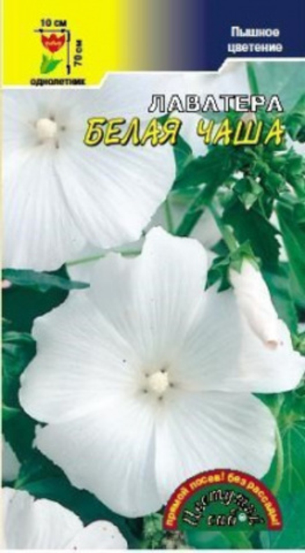 Лаватера Белая чаша 0,2г Ц ЦС