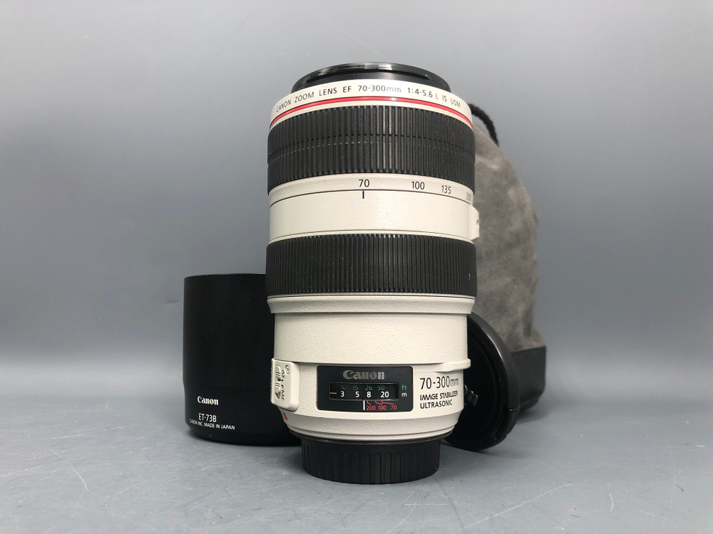 Canon EF 70-300mm 4-5.6L IS USM