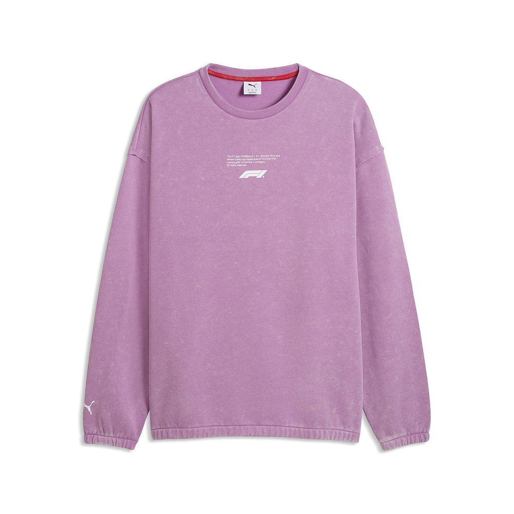 Мужской свитшот PUMA F1 Sportswear Crew
