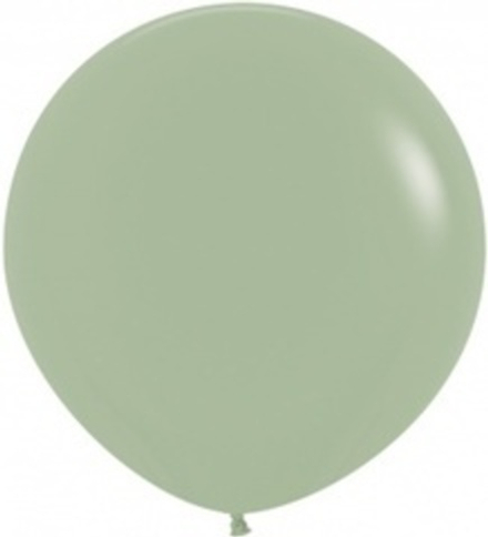 S 24'' Эвкалипт (027) пастель 60 см.