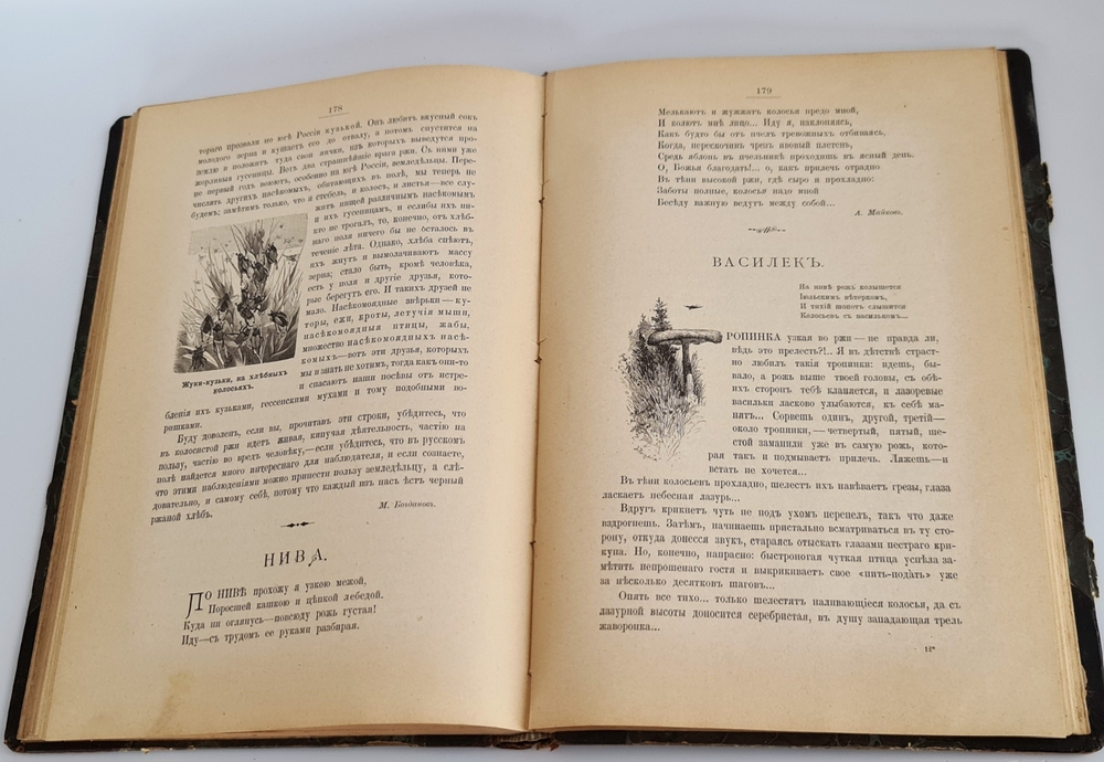 "Из родной природы". Д.Н.Кайгородов. 1907 г.