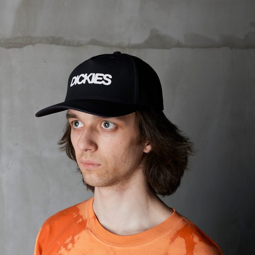 Кепка Dickies Torrey Snapback Cap артикул:DK0A88I9BLK1 - купить в магазине Дайс