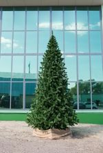 Большая елка «Рублевская» (пвх) 4 м