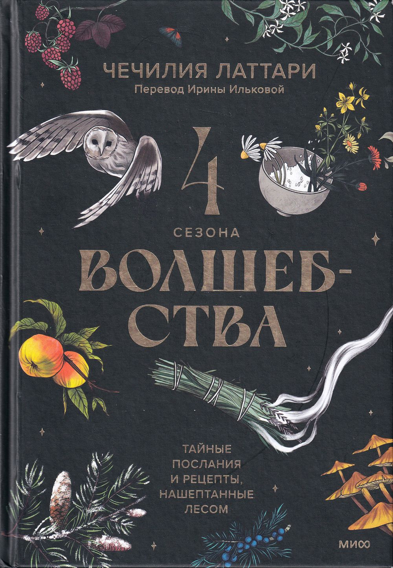Четыре сезона волшебства. Тайные послания и рецепты, нашептанные лесом