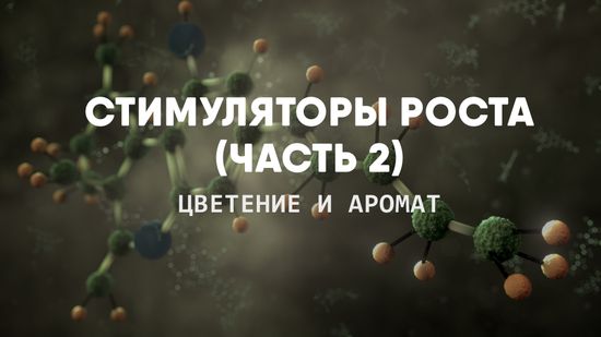 Стимуляторы роста. (Часть 2) цветение и аромат