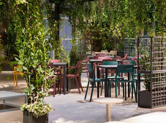 Стул Cassia бургунди