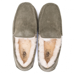 UGG Mens Ascot Burnt Olive