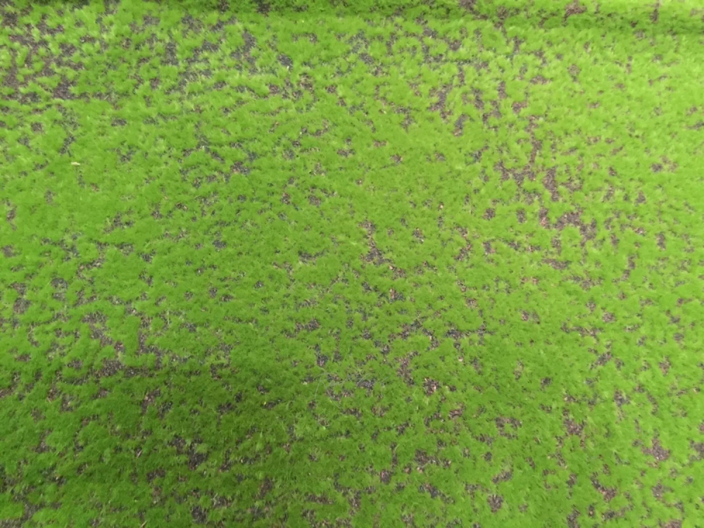 Коврик мха на войлоке 043, 2*1 м