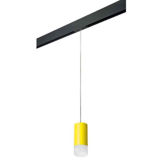 Комплект с трековым светильником Lightstar Rullo (214433+595857+202431) PRORP43331