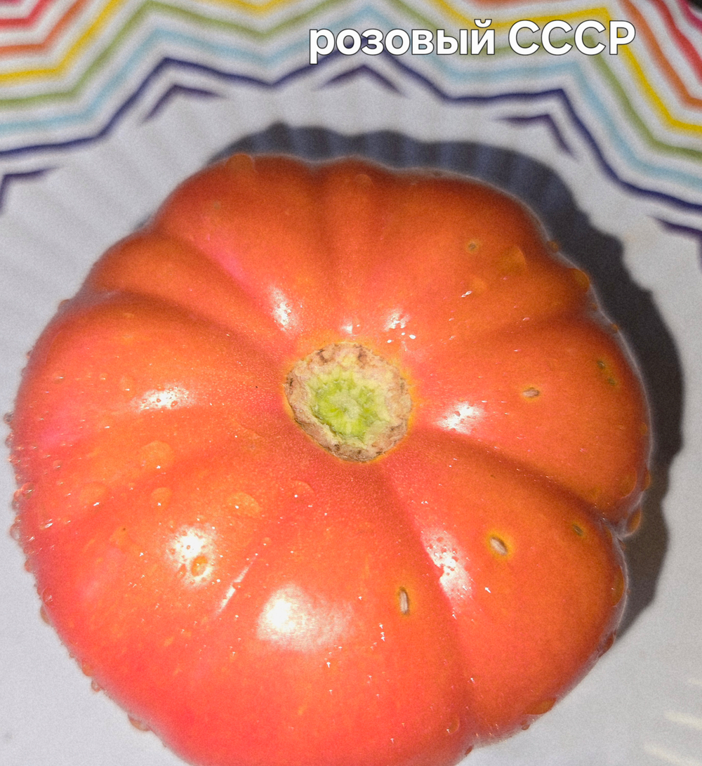 Розовый СССР