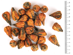 770001 Чай связанный красный "Байхэ Та (Пагода из Лилии)"