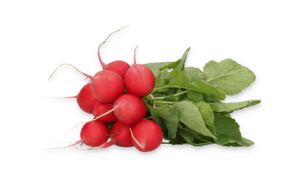Миллом F1 семена редиса (Rijk Zwaan / Райк Цваан)