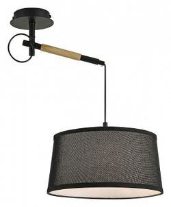 Светильник на штанге F-promo Eureka 3006-1P